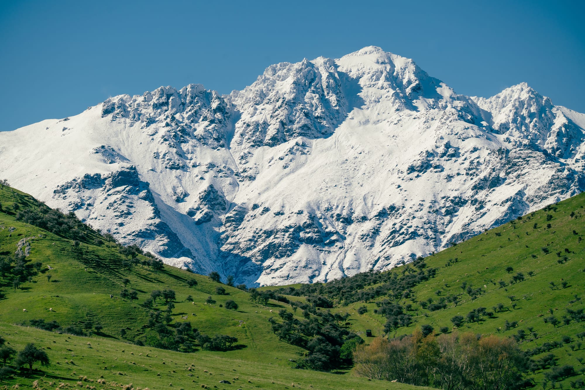 The New Zealand Tourism Gazette