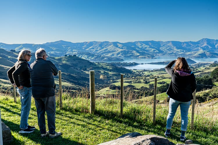 New Zealand’s Tourism Surge: Why Now is the Time to Visit