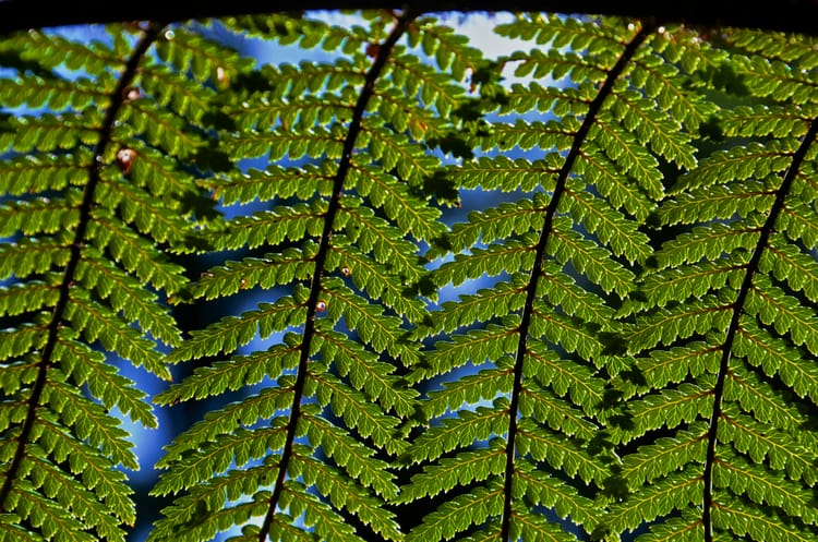 Resilience and Records: The State of the Sector in 2026